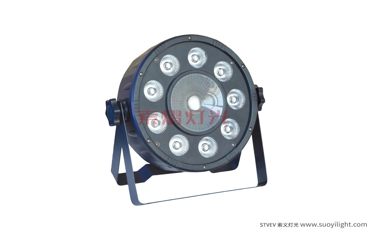 Russia9+1 LED Plastic Par Light