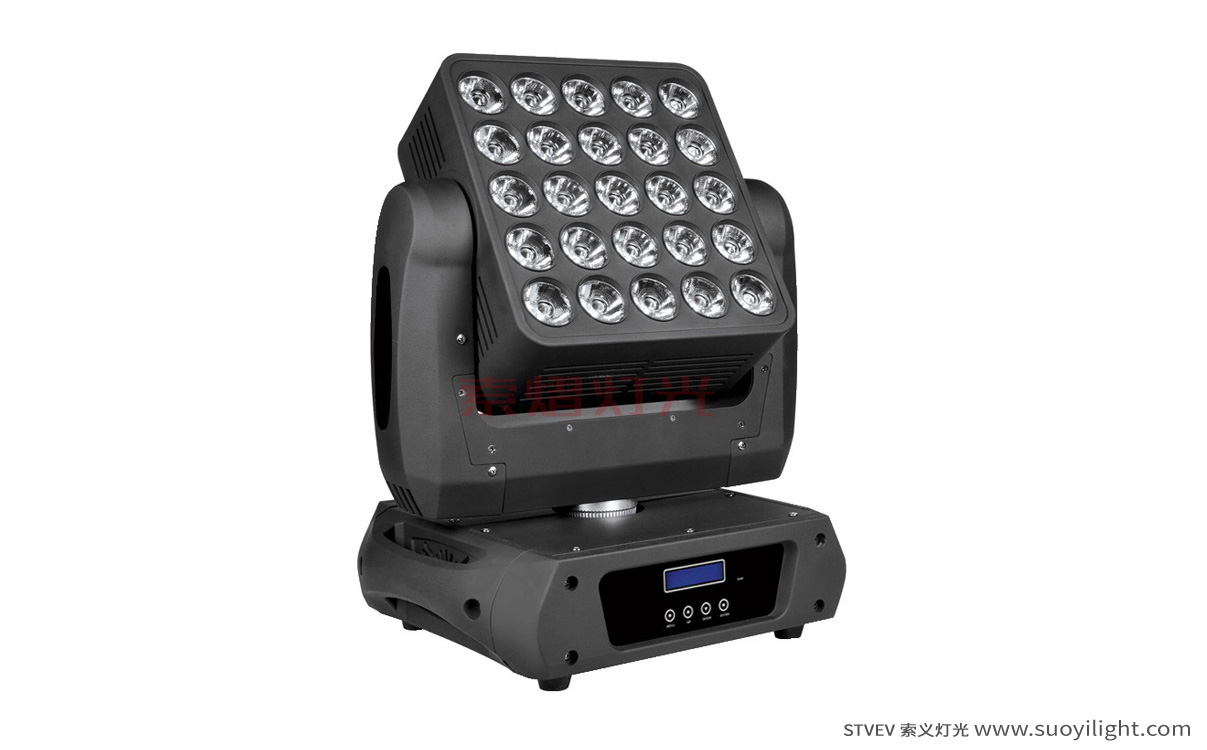 Russia25pcs Matrix LED Light manufacturer