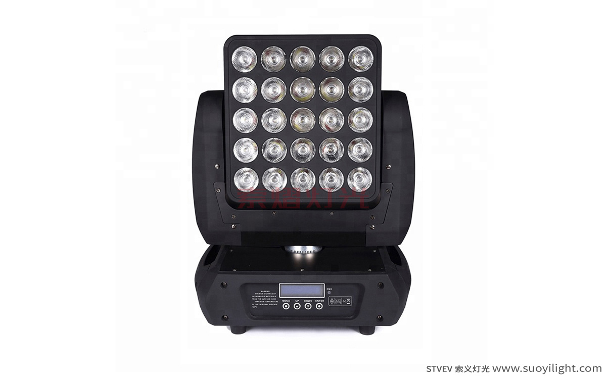 Russia25pcs Matrix LED Light production