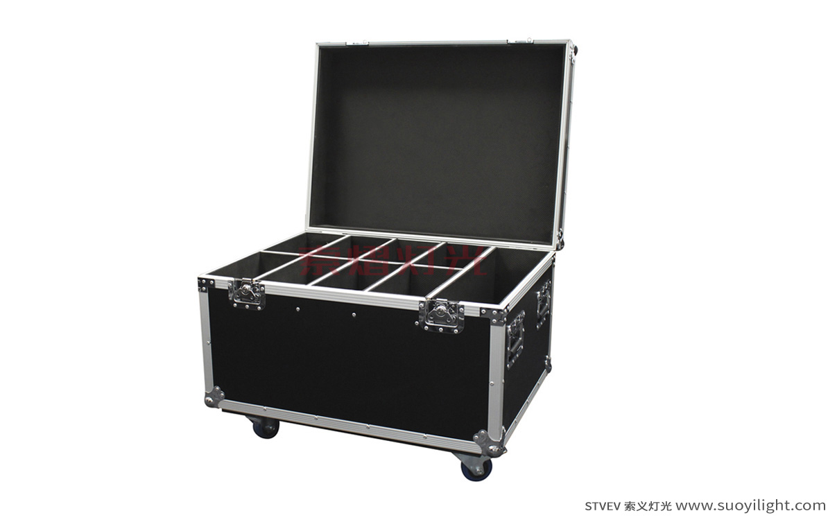 Russia8in1 Par Light Flight Case