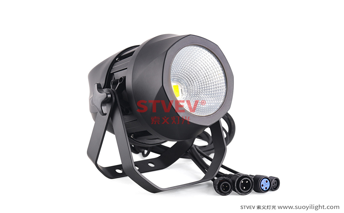 Russia200W Waterproof COB Par Light quotation