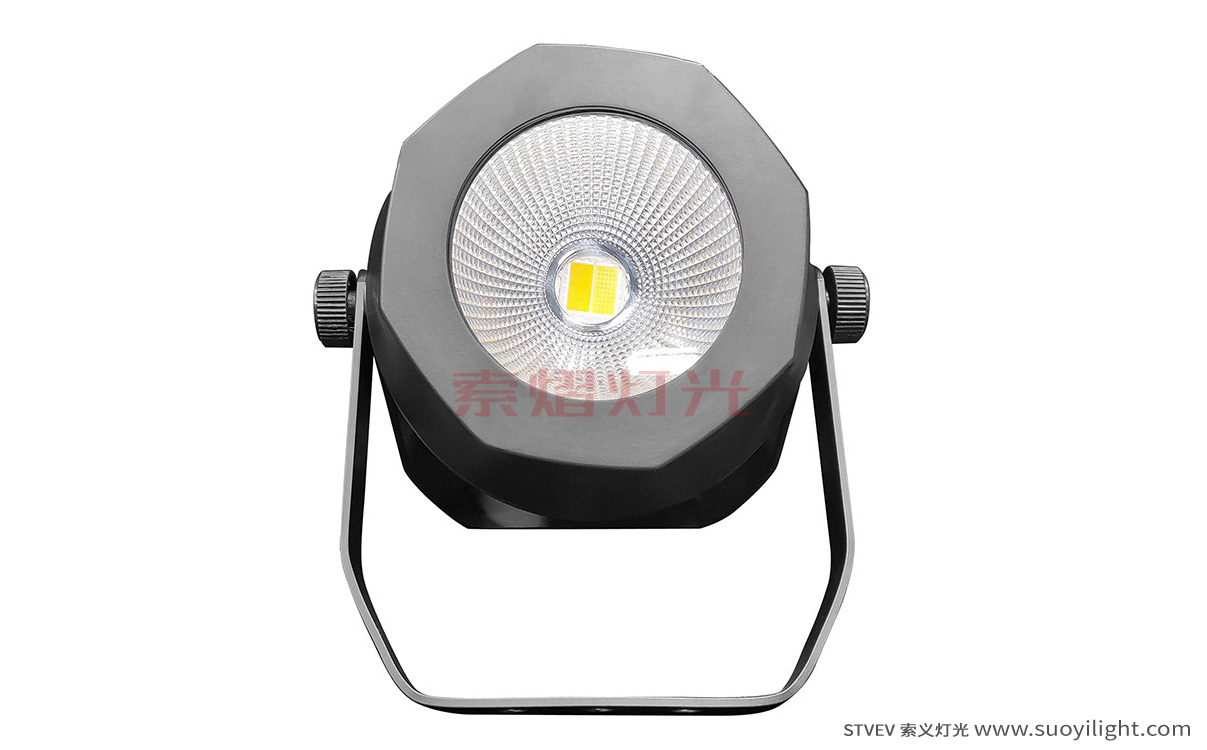 Russia200W Waterproof COB Par Light