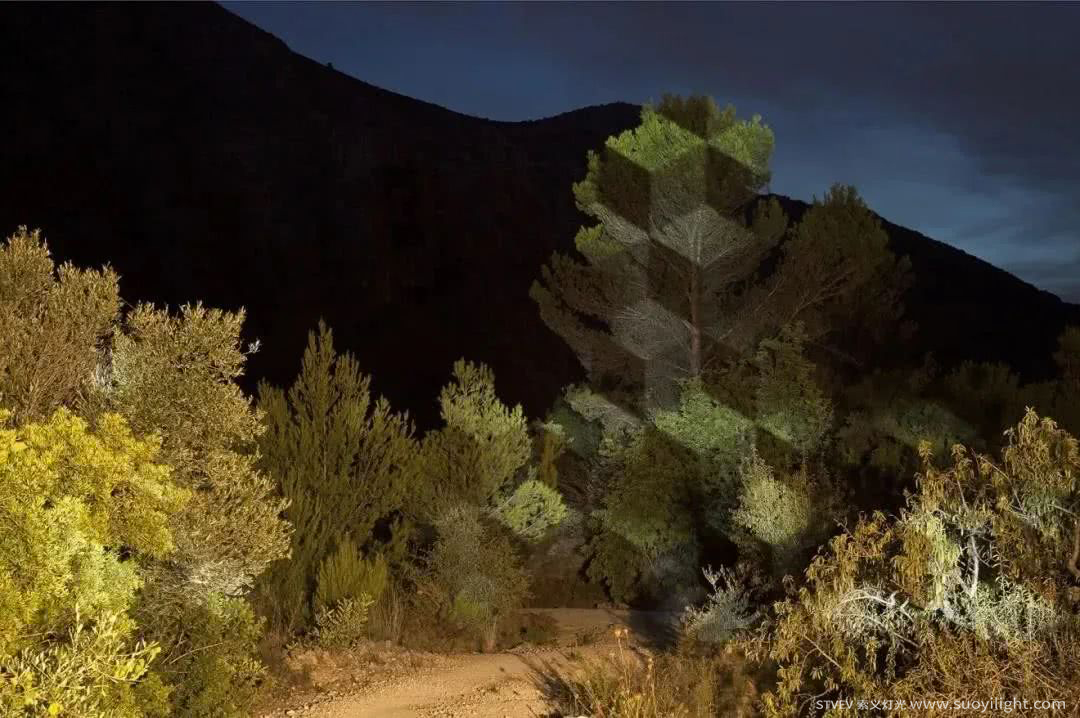 Russia奥斯坦基诺公园亮化