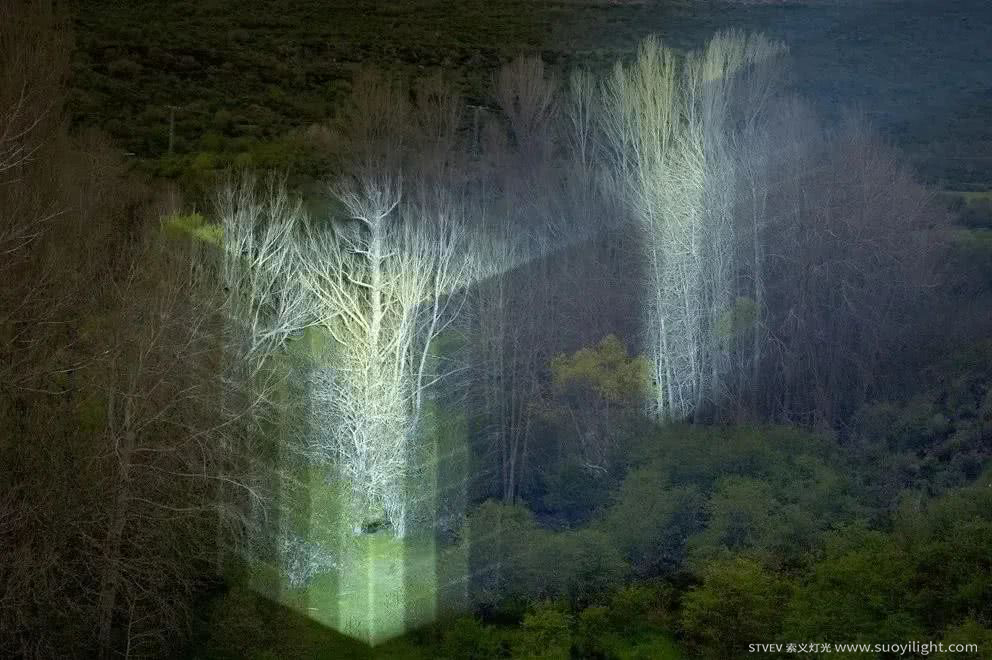 Russia奥斯坦基诺公园亮化